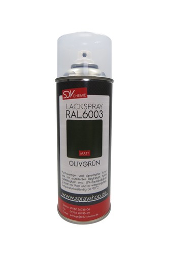400ml lackspray ral - ral, 6003